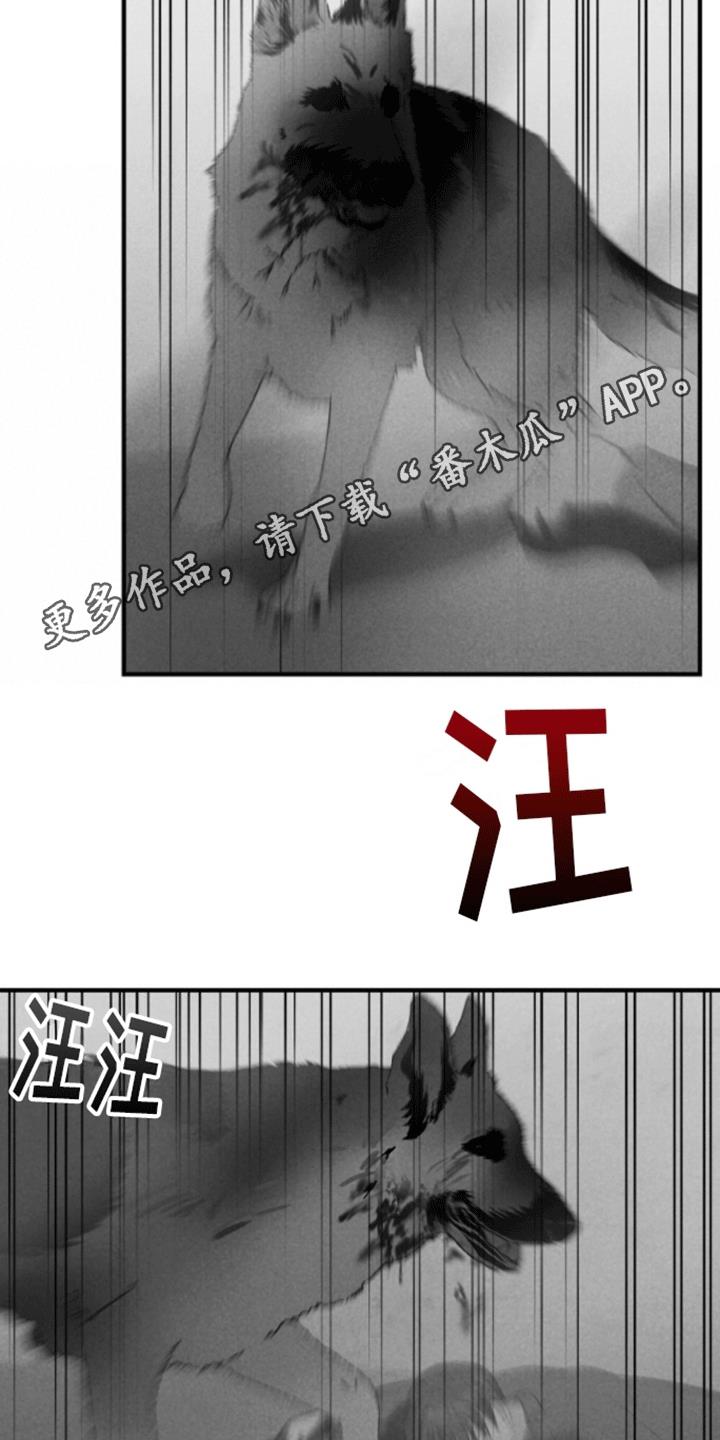 第20话 重新被抓 第 16 页