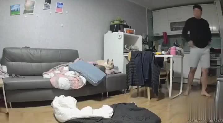 【乱伦小姨子】趁老婆不在家，猛操小姨子 预览截图 3