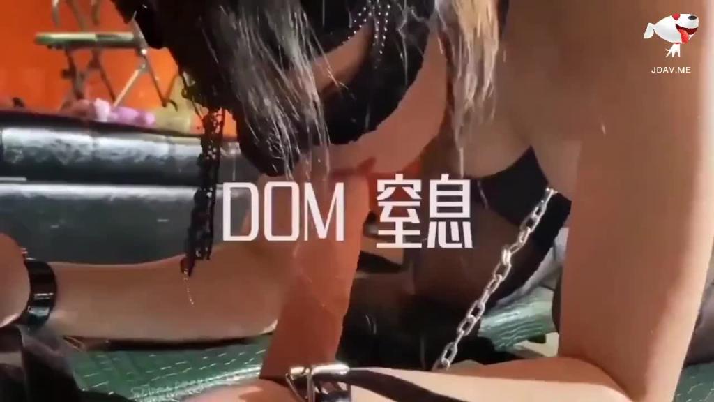 大神DOM-窒息三洞全开Sub的肉便器化开发 预览截图 5