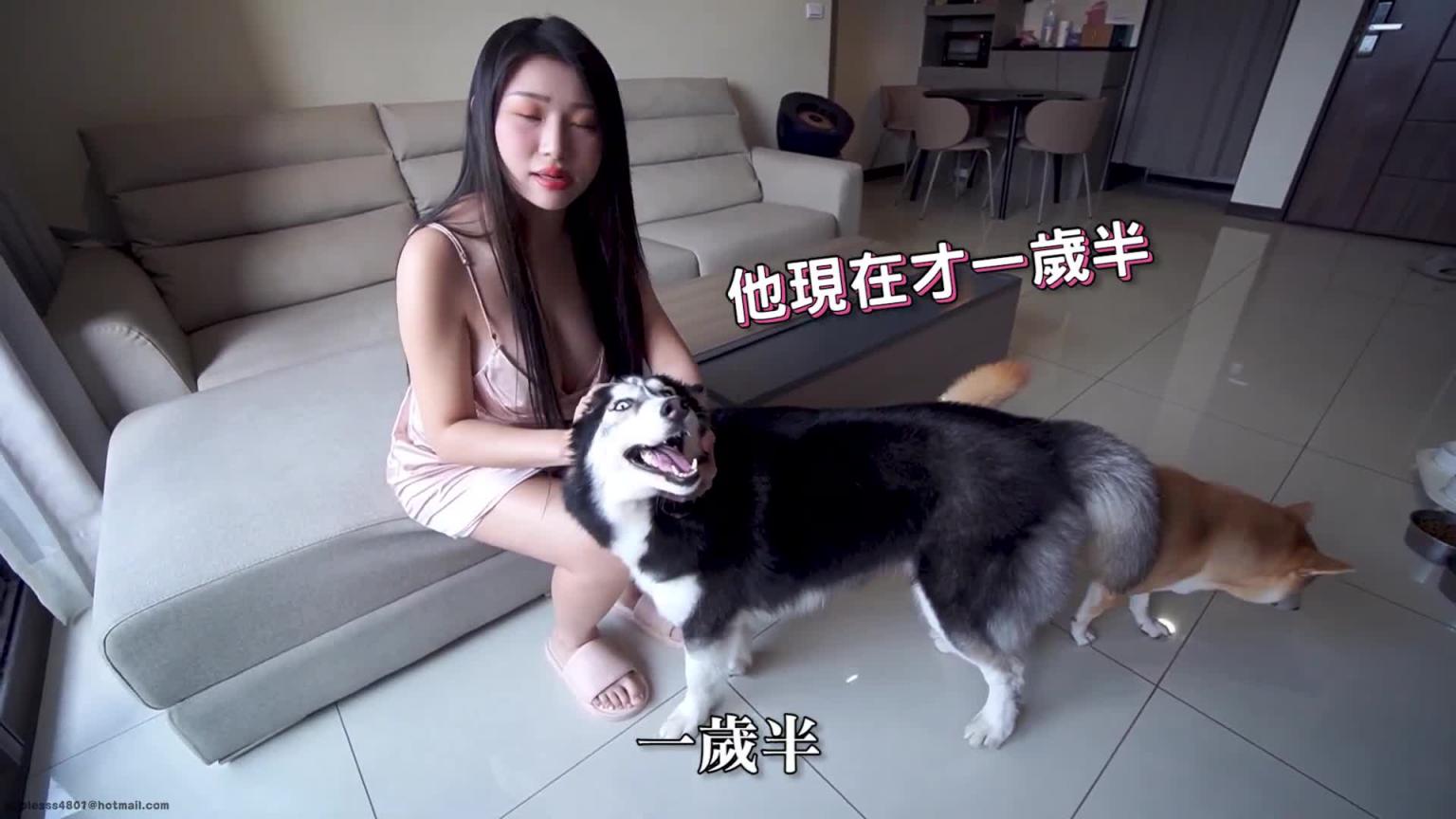 参观女生宿舍:一个女生+2只狗 预览截图 5