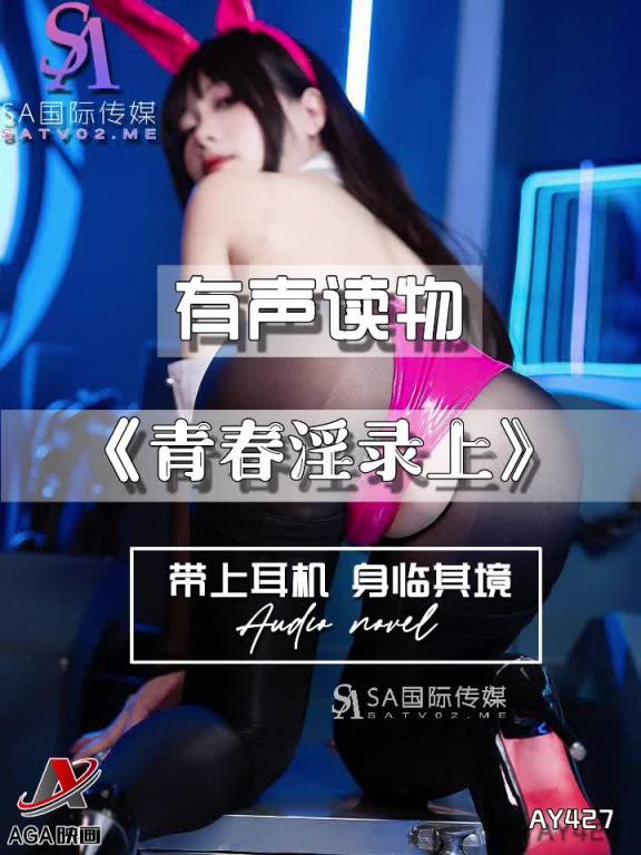 AY427-有声小说-青春淫录上 预览截图 12