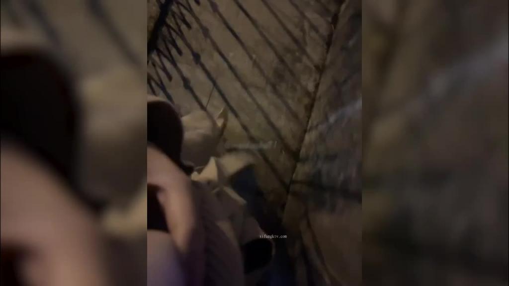 大奶骚女美杜沙大胆全裸路边勾引路人啪啪 预览截图 1