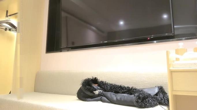 【小宝探花】 极品风骚御姐-3000网约共度春宵一刻 人间 尤物 探花 预览截图 2