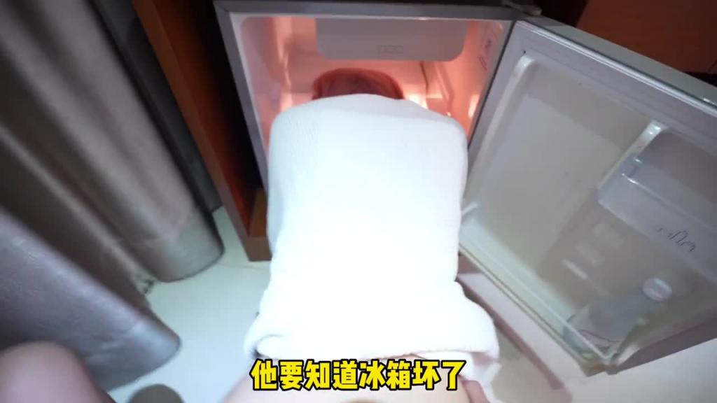 租客不小心卡在了冰箱里,那就从后面插她 预览截图 5