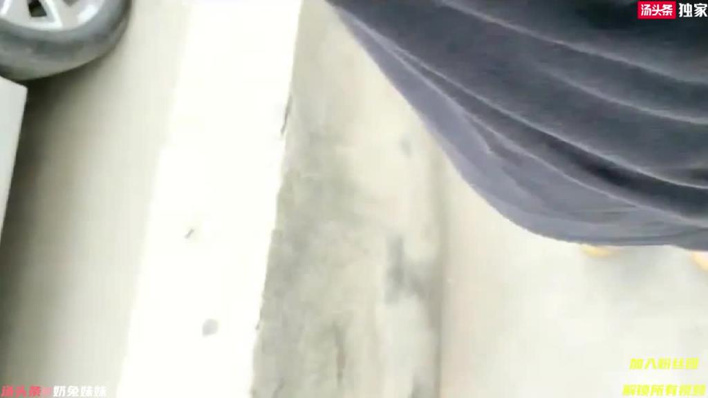 身材极似杭州郑女士的少妇 户外勾引修理部老板 假借面试到饭店厕所操屄 预览截图 12