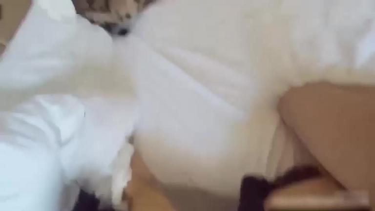 【淫妻投稿】淫妻“不要停快来“罩双眼捆双手上演强奸桥段 预览截图 7
