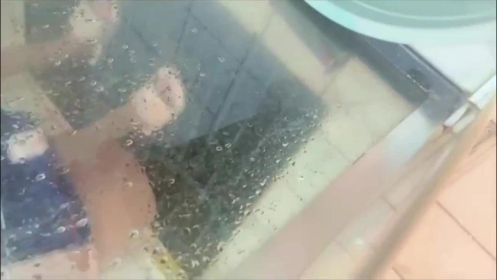 苗条少妇好身材,齐逼小短裙,直接按床上操 预览截图 12