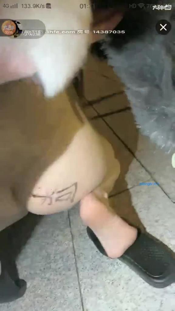 萝莉少女脱光被SM牵狗绳在大街,直接在路边操逼 预览截图 7