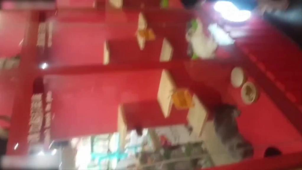 珠宝店移动视角后入式厕拍,手机离逼只有1cm偷拍你绝对没见过的黑炭逼 预览截图 8