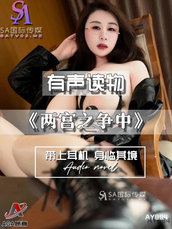 AY894-有声小说-两宫之争中成片 预览截图 12