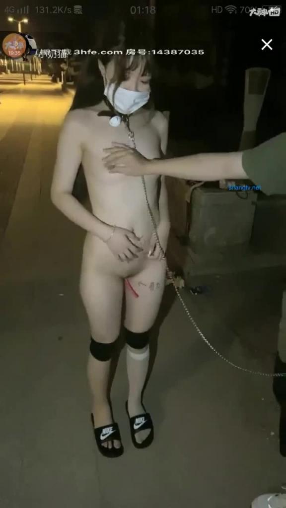 萝莉少女脱光被SM牵狗绳在大街,直接在路边操逼 预览截图 4