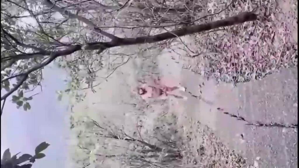 网红露娜户外人前极限调教淫荡露出白虎B水桶乳夹叮当作响~ 预览截图 3
