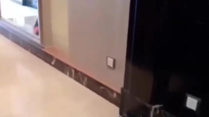 户外露出调教小母狗 预览截图 2