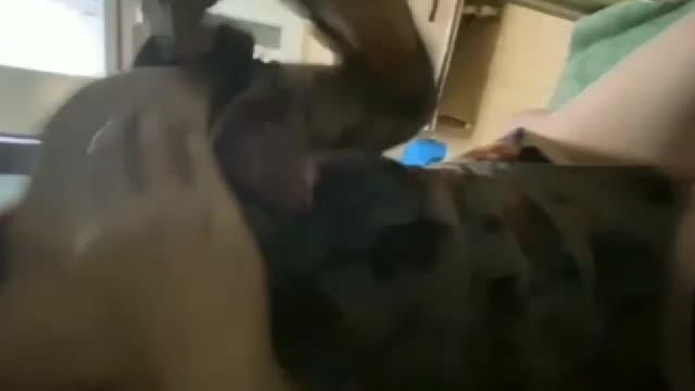 真实通奸.大姨子穿旗袍勾引妹夫,无套内射夹住妹夫给的精液,声音很骚可射 预览截图 9