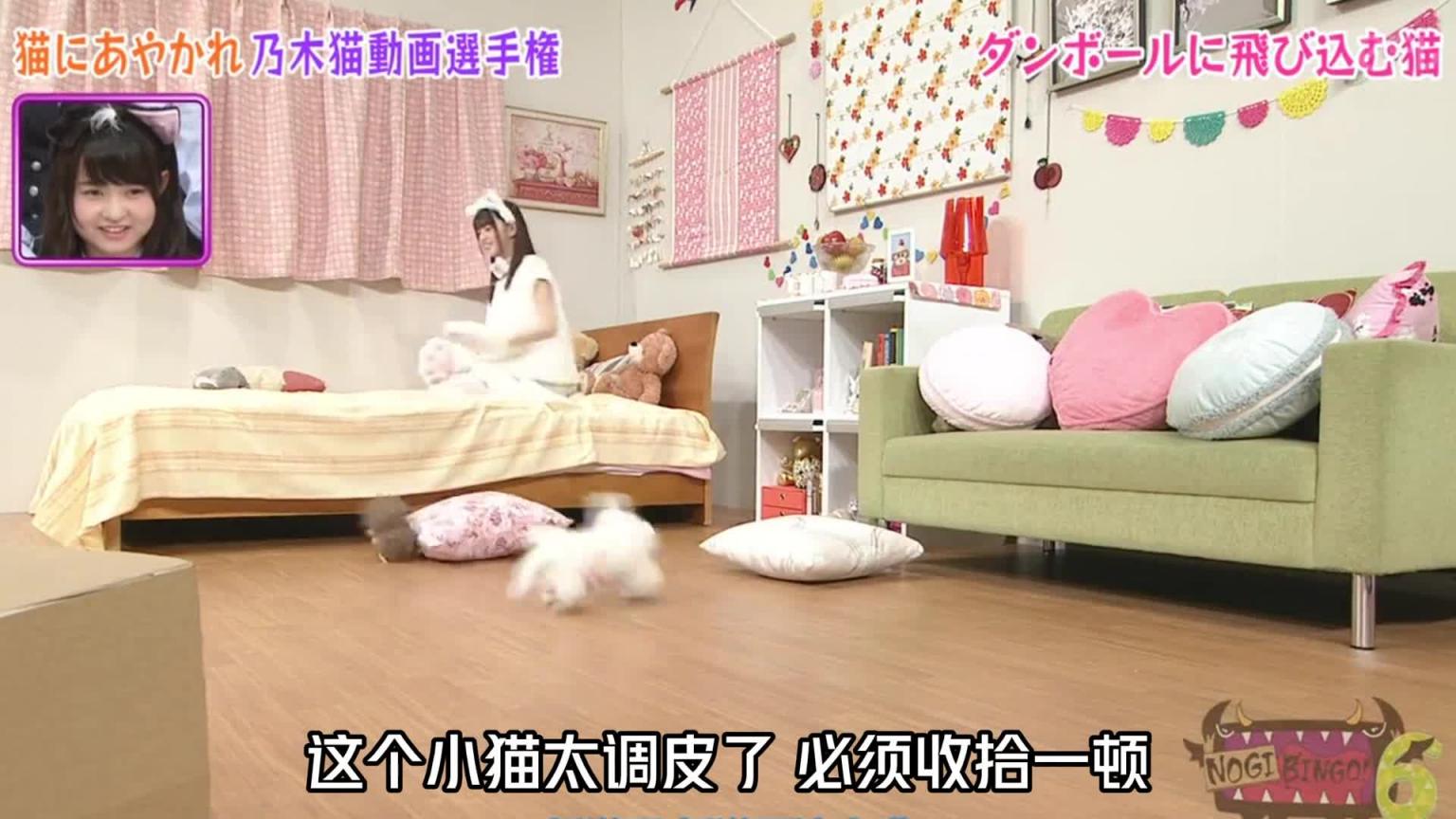 如果你家打小猫咪变成大猫咪,你会怎么办。#综艺名场面 预览截图 9