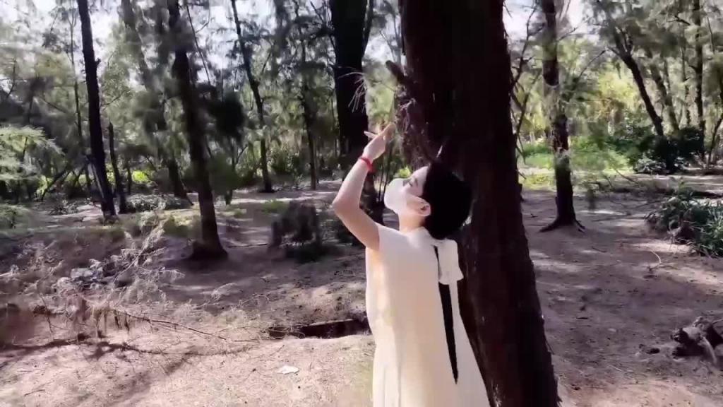 极品长腿美女汉服啪啪 紧挺美乳猛烈活塞 预览截图 2