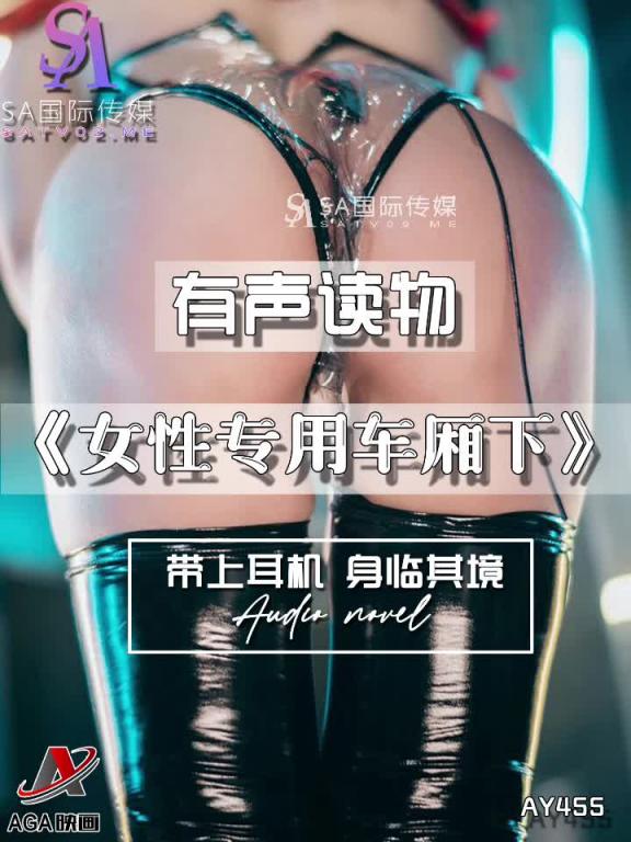 AY455-有声小说-女性专用车厢下 预览截图 12