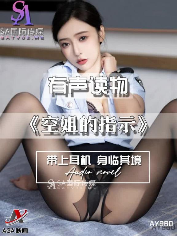 AY960-有声小说-空姐的指示 预览截图 11
