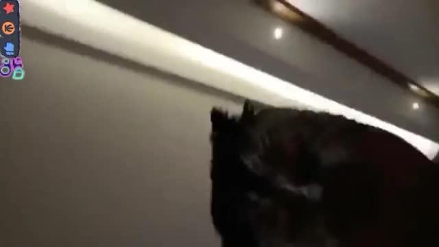 一夜被操4次,孩子在旁边哭1岁哺乳期人妻酒店偷情群P 预览截图 8