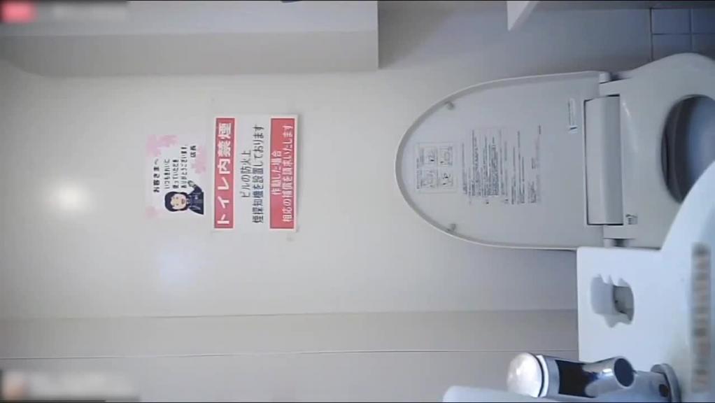 公司女厕坐便器偷拍超多美女同事撒尿合集 预览截图 2