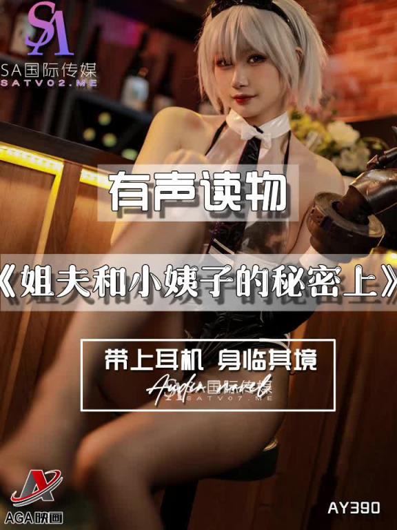 AY391-有声小说-姐夫和小姨子的秘密下 预览截图 4