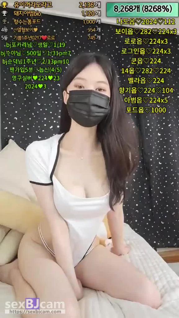 KBJ-24052222 预览截图 12