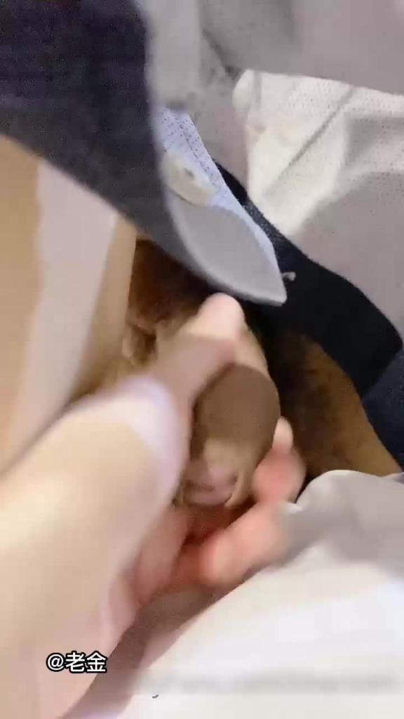 快手【三亚美姐】陪睡库里南车主,奶子特别大的三亚网红御姐,有钱人的玩物 预览截图 11