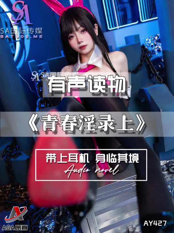 AY427-有声小说-青春淫录上 预览截图 8