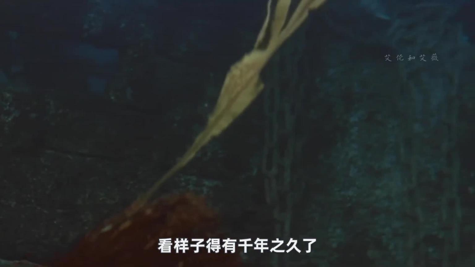 海底惊现神秘钉刺,化验竟千禧年! 预览截图 8