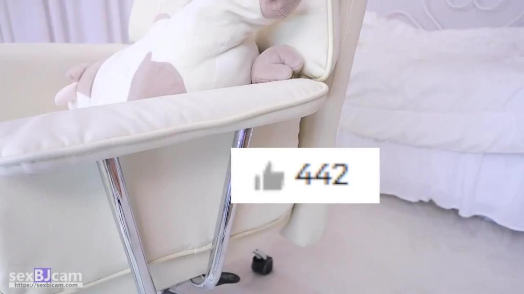 KBJ-24041620 预览截图 9