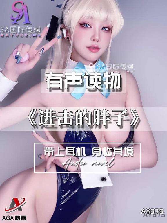 AY675-有声小说-进击的胖子 预览截图 3