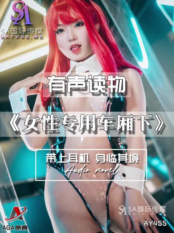 AY455-有声小说-女性专用车厢下 预览截图 4