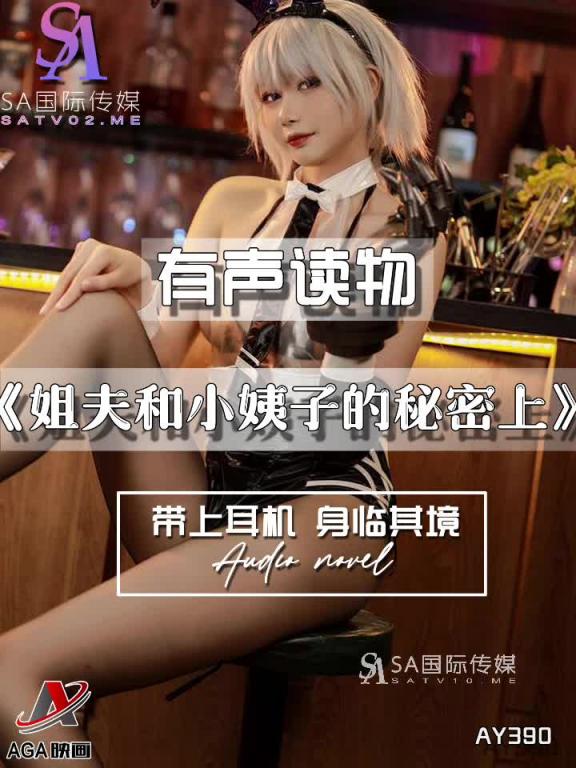 AY390-有声小说-姐夫和小姨子的秘密上 预览截图 3
