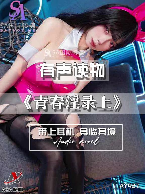 AY427-有声小说-青春淫录上 预览截图 11