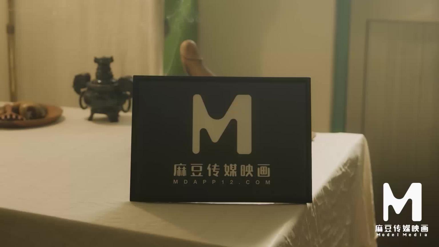 MD-0351老中医的孕妇回春疗法 预览截图 2