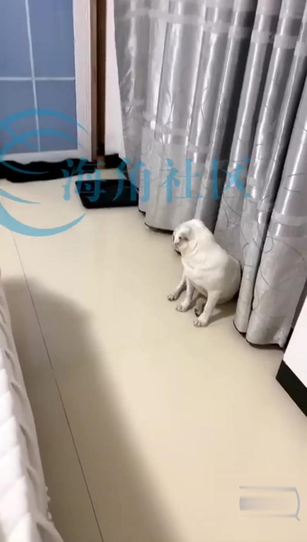 【兄妹乱伦】骚逼妹妹在出租屋日记_逗逗狗欲望一来 预览截图 4