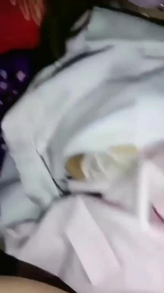 双尾洛丽塔童颜巨乳罗莉惨遭哥哥套内射 预览截图 5
