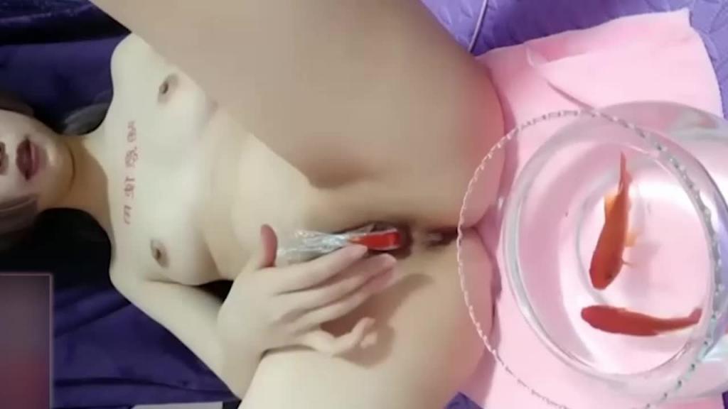 骚货剃光阴毛拿金鱼自慰!我他妈惊了 预览截图 10
