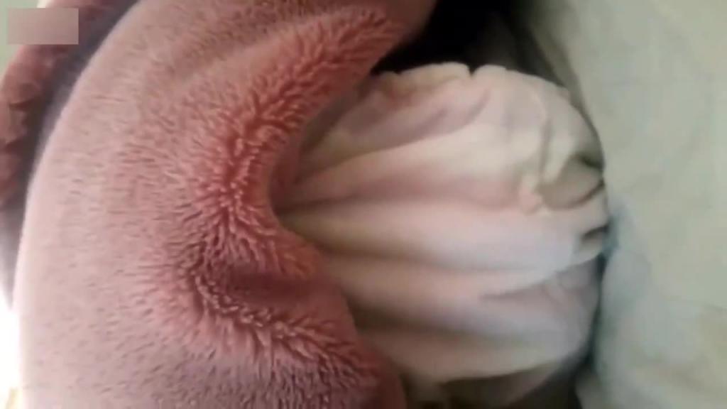 【真实兄妹乱伦】超粉小嫩逼被亲哥祸害,爸妈不在家,性瘾哥哥要求妹妹让他操,不然就不让他睡 预览截图 5