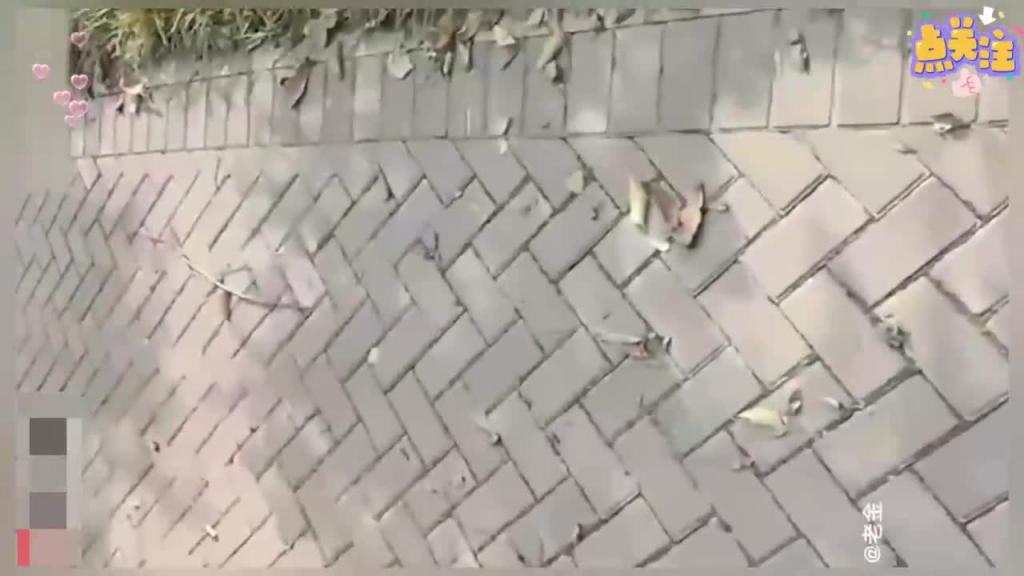 约嫂子公园露出野战肛交菊花 预览截图 4