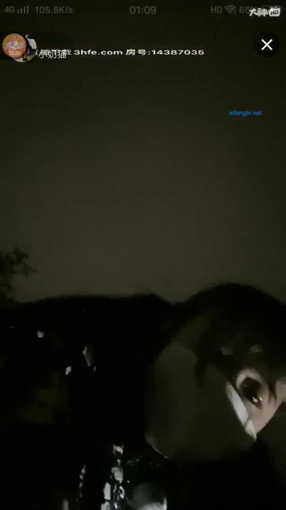 萝莉少女脱光被SM牵狗绳在大街,直接在路边操逼 预览截图 2
