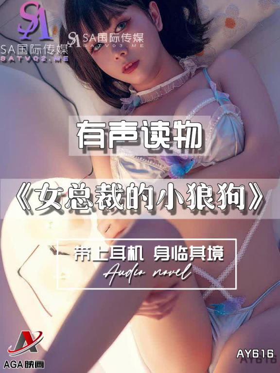 AY616-有声小说-女总裁的小狼狗 预览截图 4