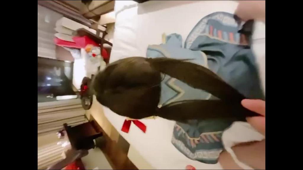 娇小乖巧萝莉，各种COS各种草2 预览截图 5