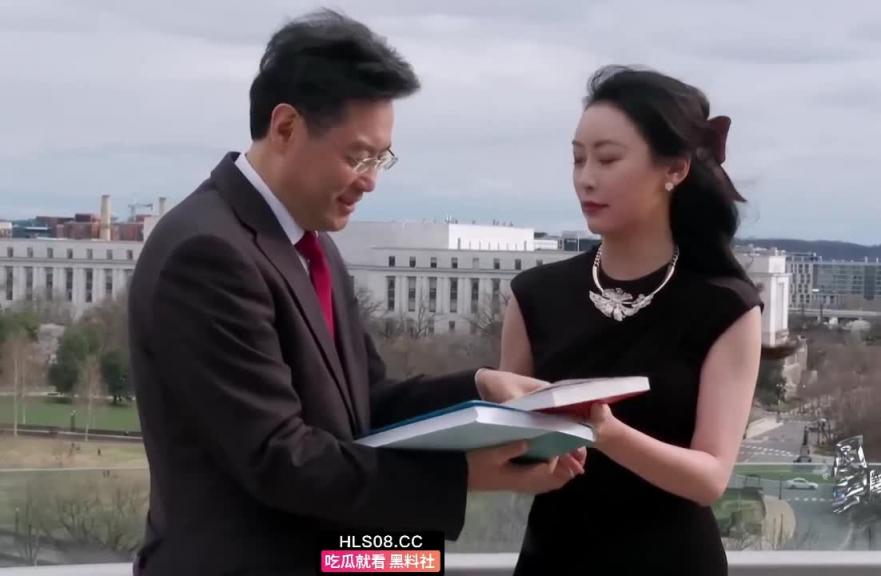 网曝外交部长秦刚包养的凤凰卫视首席记者傅晓田 居然是个双面间谍 并且两人还有一私生子 预览截图 5