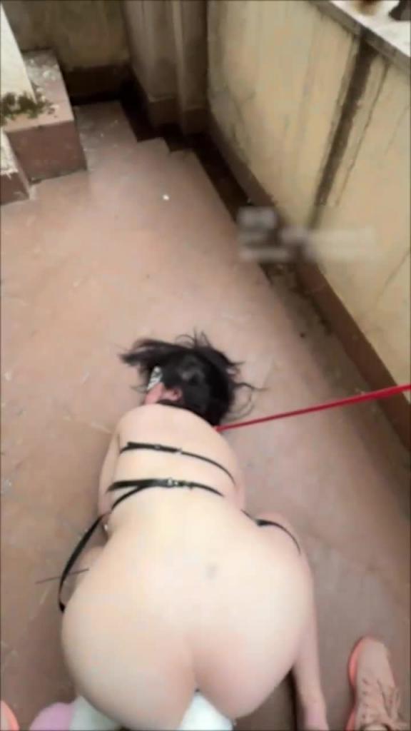 【虐恋调教❤️巨乳女神】乳女神最新大尺度私拍《阳台上的狗》蒙眼全裸调教 预览截图 5
