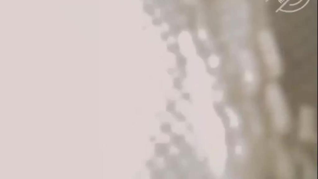 小嫂乱伦】家有迷人小嫂_终于得到极品白虎小嫂 主动求操后入爆 预览截图 2