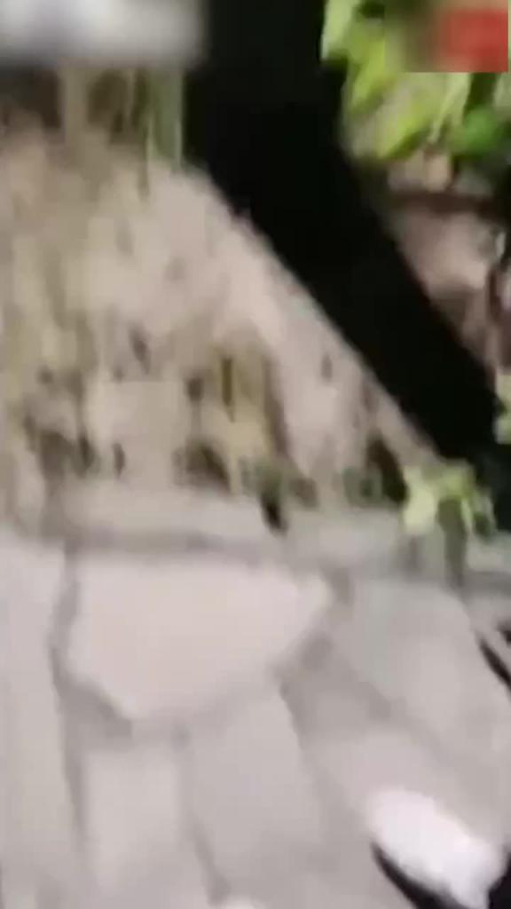 高清流出超颜值反差小姐姐与小哥哥日常调教爆操内射 预览截图 12
