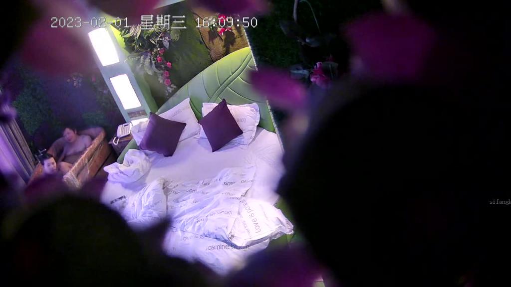 【真实偷拍】情趣酒店高清偷拍,老哥和极品身材韵味少妇,还一起 洗鸳鸯浴各种姿势操屄~ 预览截图 5