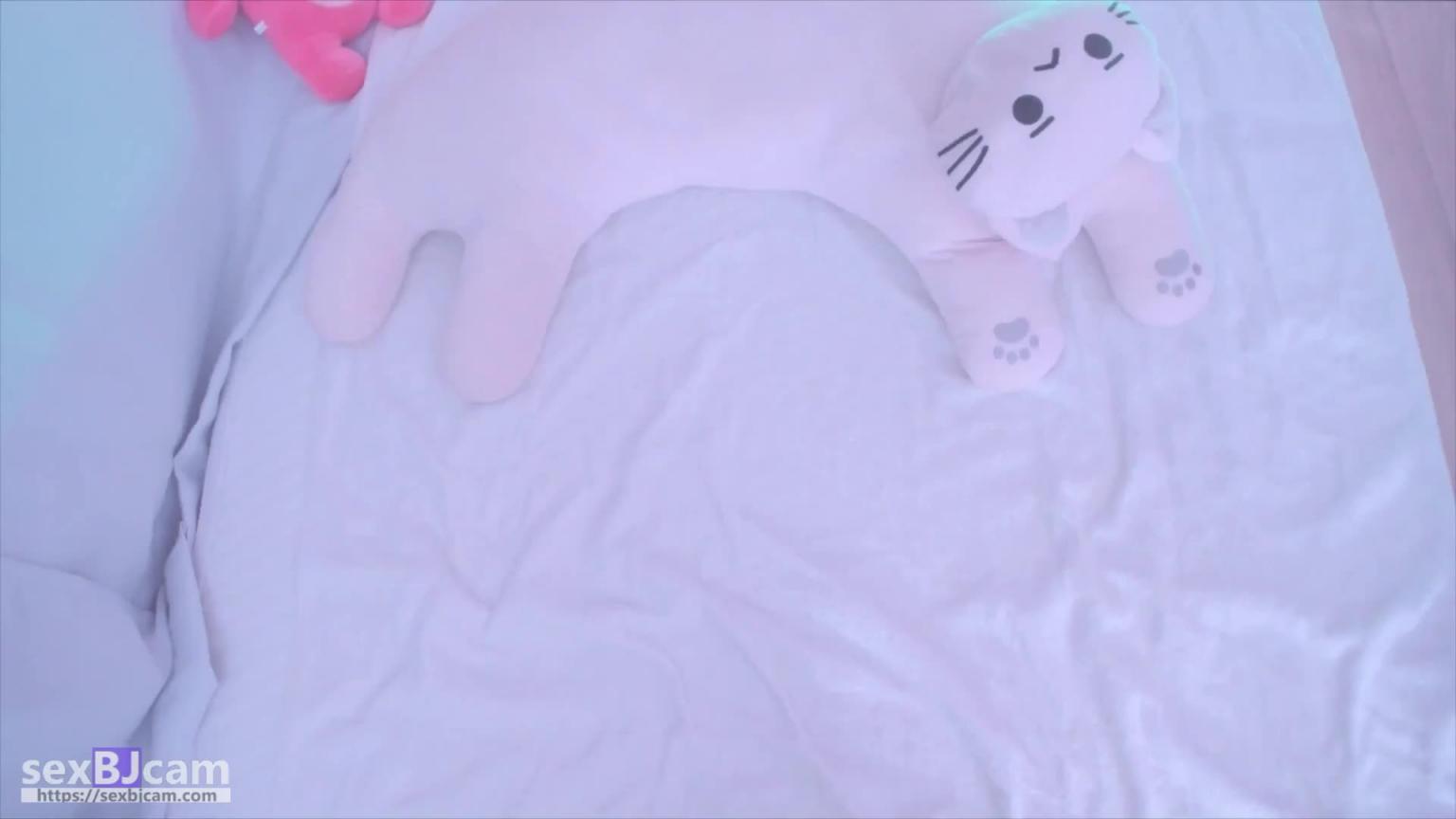 KBJ-24052502 预览截图 10