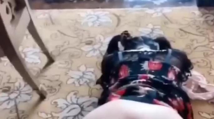 户外露出调教小母狗 预览截图 3